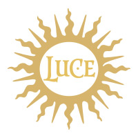 二手回收麓鹊酒庄Tenuta Luce红酒